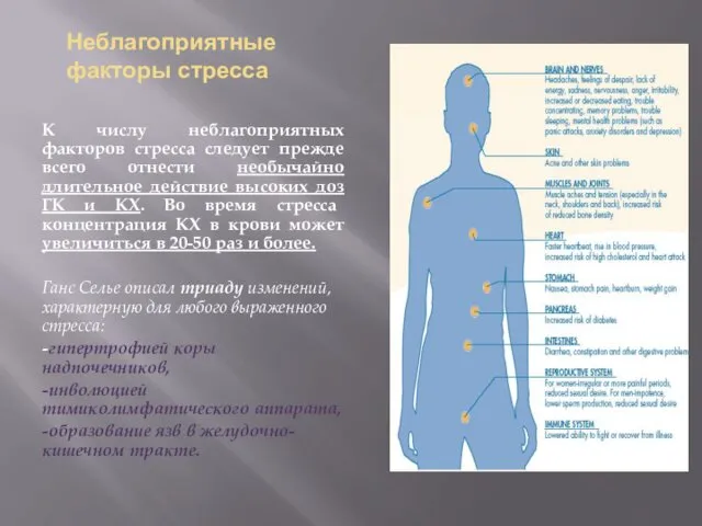 Неблагоприятные факторы стресса К числу неблагоприятных факторов стресса следует прежде