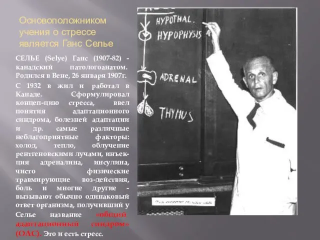 Основоположником учения о стрессе является Ганс Селье СЕЛЬЕ (Selye) Ганс