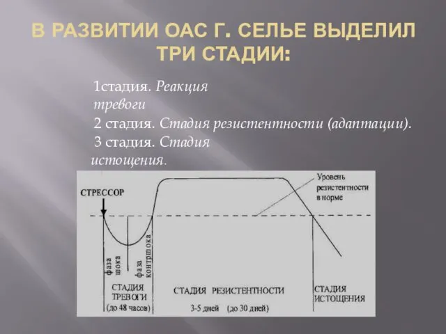 В РАЗВИТИИ ОАС Г. СЕЛЬЕ ВЫДЕЛИЛ ТРИ СТАДИИ: 1стадия. Реакция