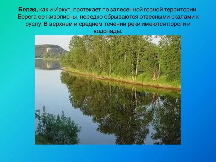 Белая, как и Иркут, протекает по залесенной горной терри­тории. Берега