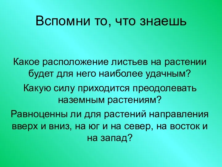 Вспомни то, что знаешь Какое расположение листьев на растении будет