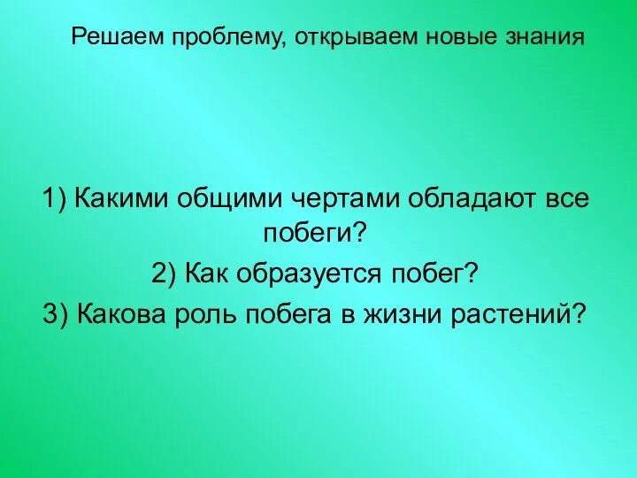 Решаем проблему, открываем новые знания 1) Какими общими чертами обладают