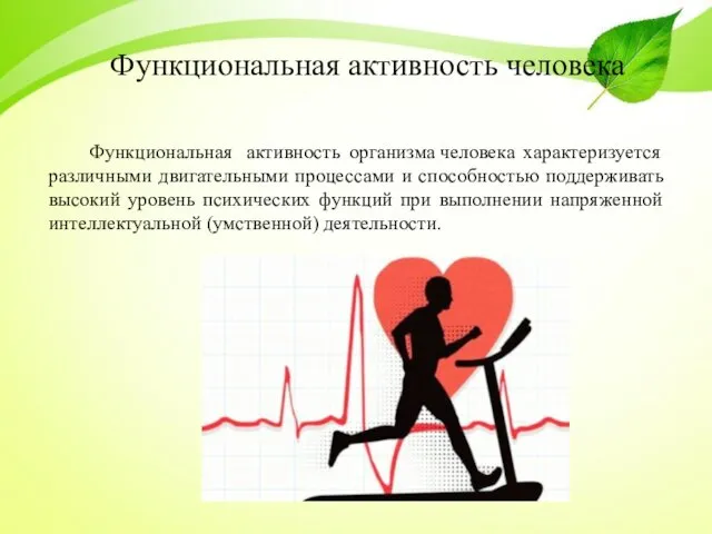 Функциональная активность человека Функциональная активность организма человека характеризуется различными двигательными