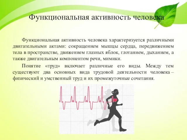 Функциональная активность человека Функциональная активность человека характеризуется различными двигательными актами: