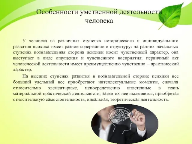 Особенности умственной деятельности человека У человека на различных ступенях исторического