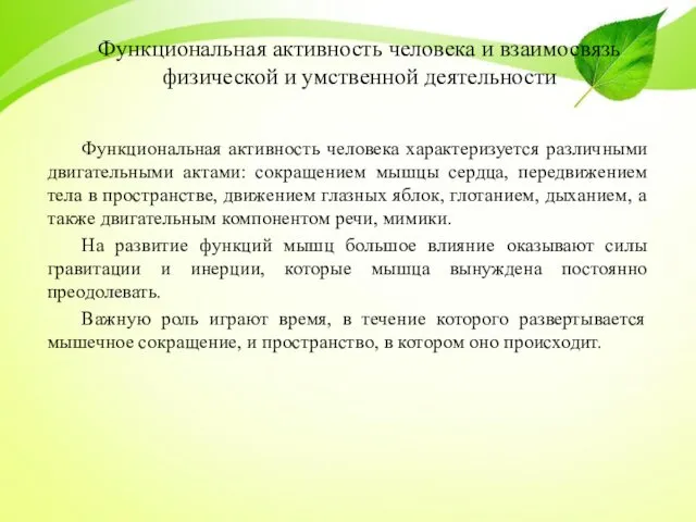 Функциональная активность человека и взаимосвязь физической и умственной деятельности Функциональная