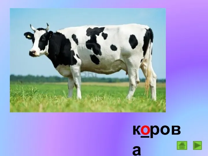 к_рова о