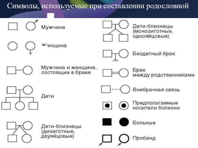 Символы, используемые при составлении родословной