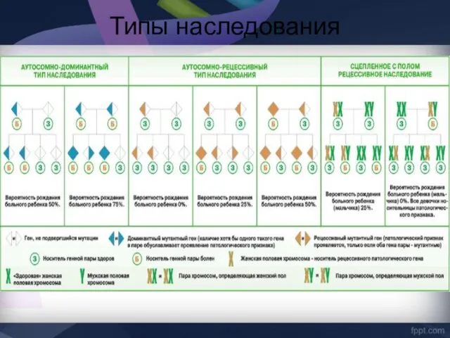 Типы наследования