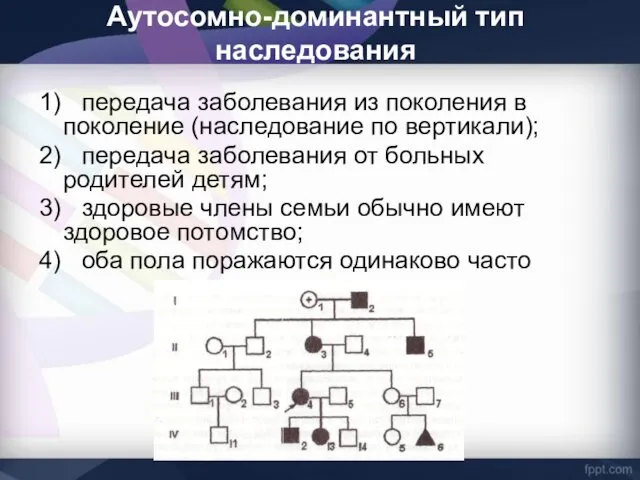 Аутосомно-доминантный тип наследования 1) передача заболевания из поколения в поколение