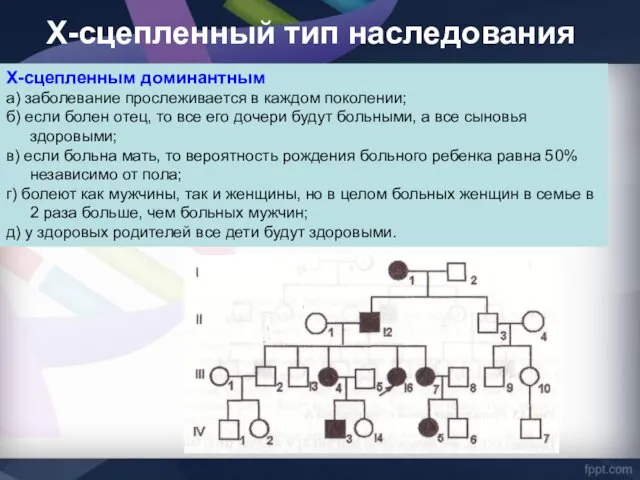 Х-сцепленным доминантным а) заболевание прослеживается в каждом поколении; б) если