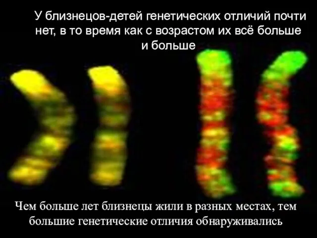 У близнецов-детей генетических отличий почти нет, в то время как