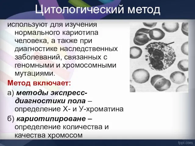 Цитологический метод используют для изучения нормального кариотипа человека, а также