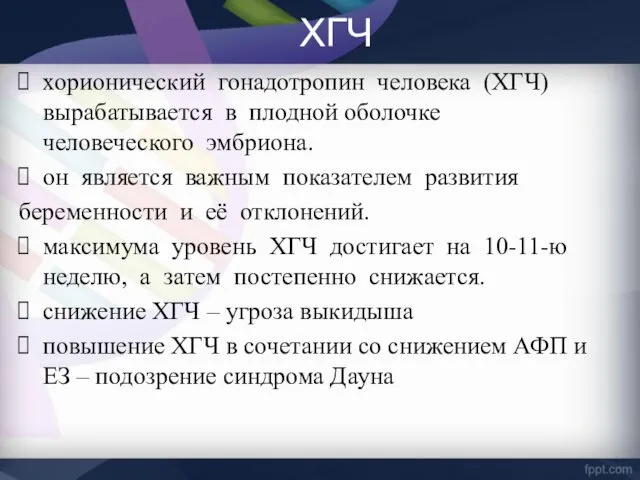 ХГЧ хорионический гонадотропин человека (ХГЧ) вырабатывается в плодной оболочке человеческого