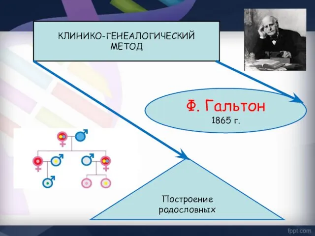 КЛИНИКО-ГЕНЕАЛОГИЧЕСКИЙ МЕТОД Ф. Гальтон 1865 г. Построение родословных