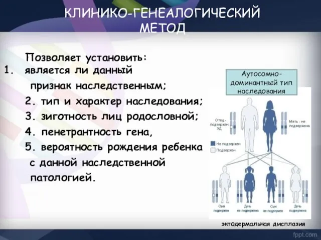 Позволяет установить: является ли данный признак наследственным; 2. тип и