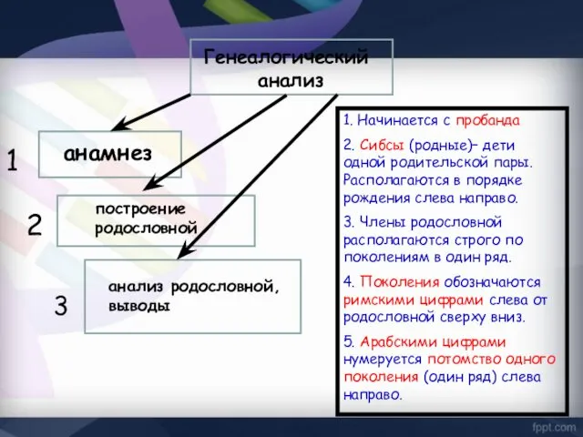 Генеалогический анализ анамнез построение родословной анализ родословной, выводы 1 2