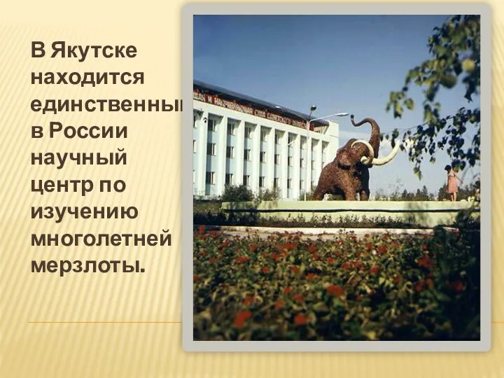 В Якутске находится единственный в России научный центр по изучению многолетней мерзлоты.