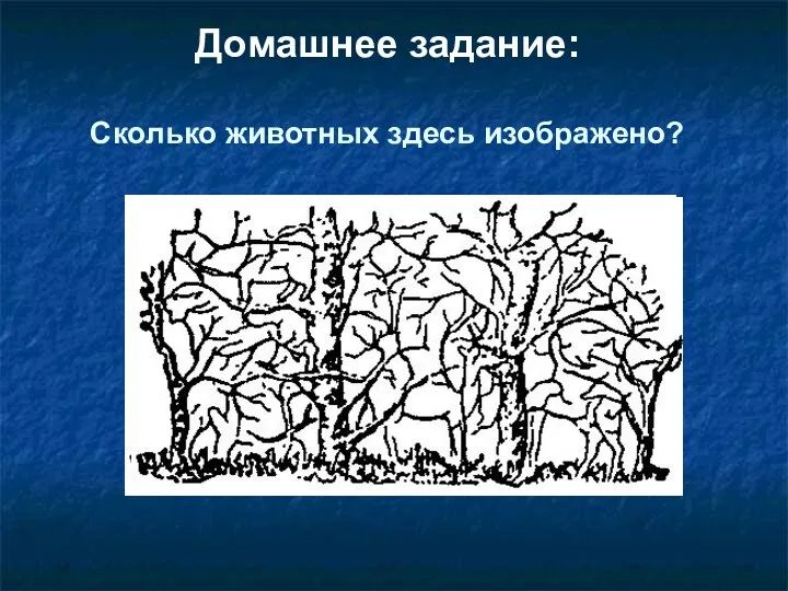 Домашнее задание: Сколько животных здесь изображено?