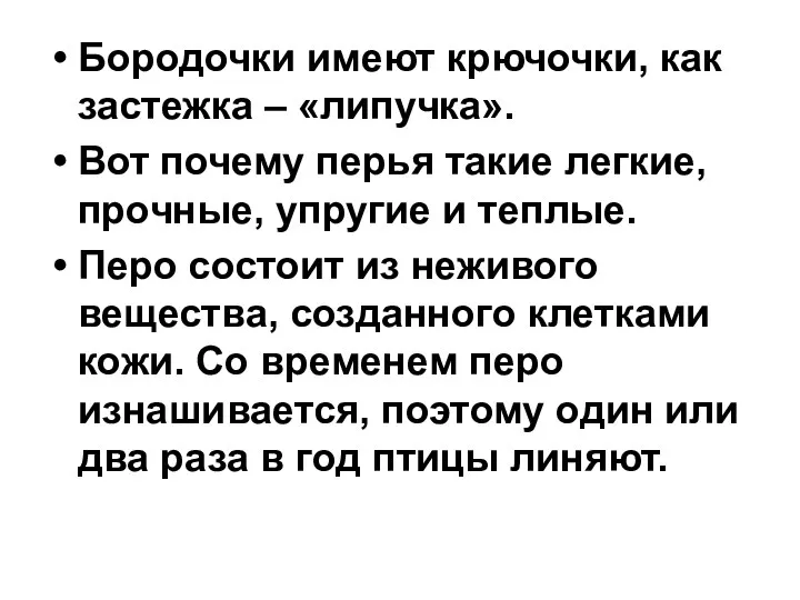 Бородочки имеют крючочки, как застежка – «липучка». Вот почему перья такие легкие, прочные,