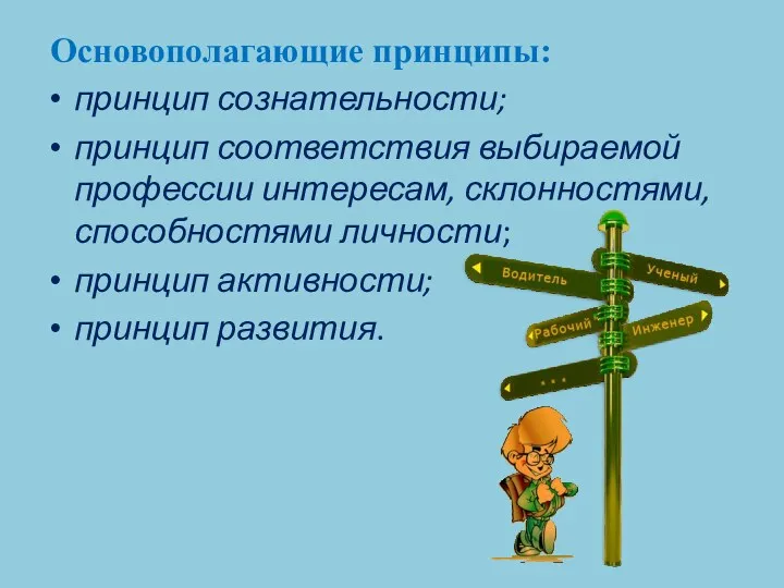 Основополагающие принципы: принцип сознательности; принцип соответствия выбираемой профессии интересам, склонностями, способностями личности; принцип активности; принцип развития.