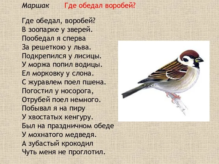 Маршак Где обедал воробей? Где обедал, воробей? В зоопарке у зверей. Пообедал я