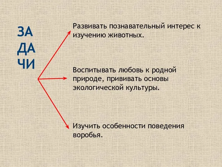 ЗАДАЧИ Развивать познавательный интерес к изучению животных. Воспитывать любовь к родной природе, прививать