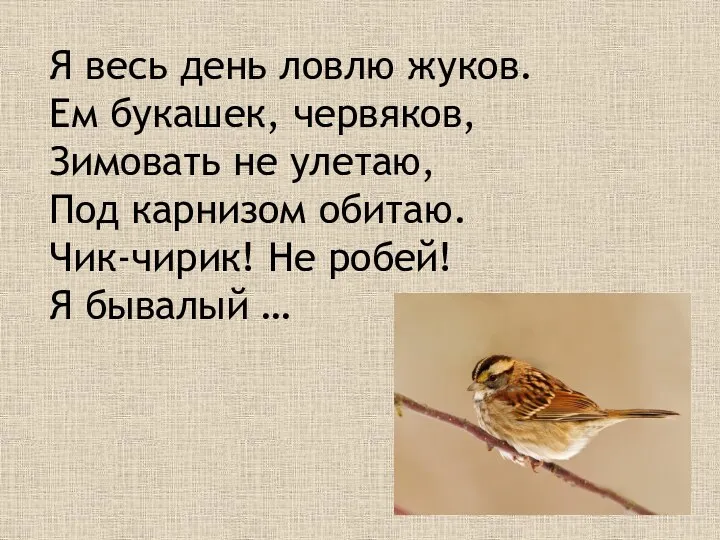 Я весь день ловлю жуков. Ем букашек, червяков, Зимовать не улетаю, Под карнизом