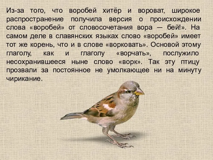 Из-за того, что воробей хитёр и вороват, широкое распространение получила версия о происхождении