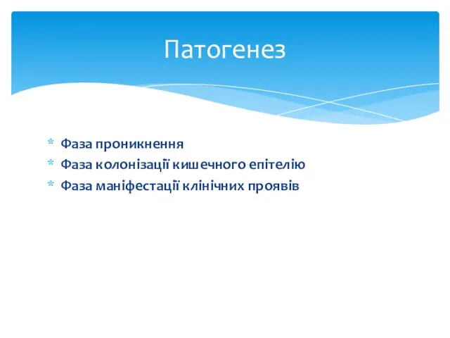 Фаза проникнення Фаза колонізації кишечного епітелію Фаза маніфестації клінічних проявів Патогенез