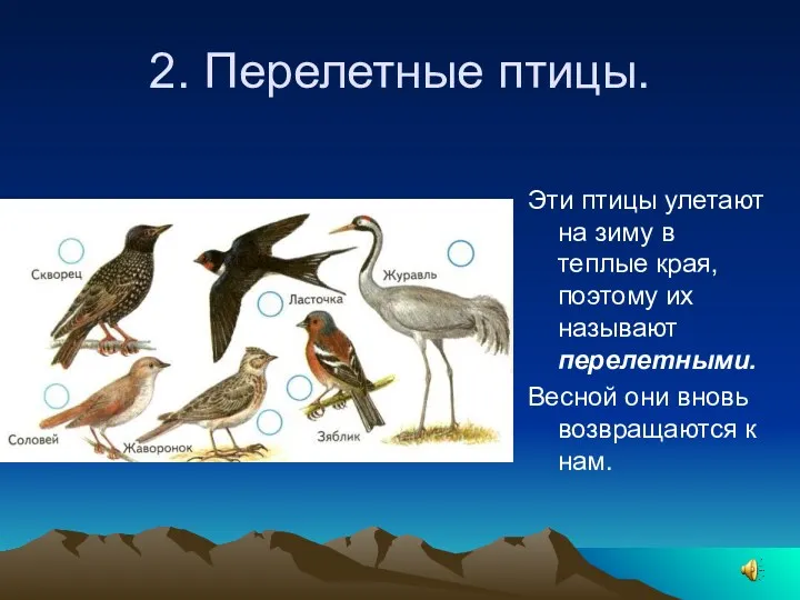 2. Перелетные птицы. Эти птицы улетают на зиму в теплые края, поэтому их