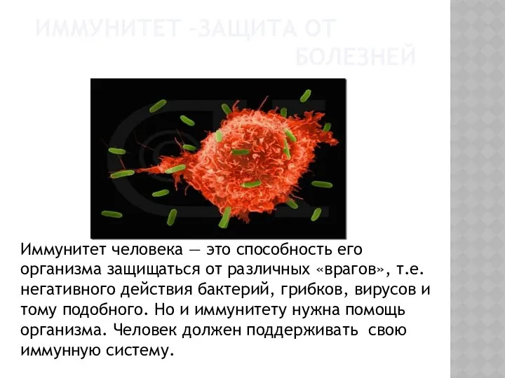 иммунитет –защита от болезней Иммунитет человека — это способность его организма защищаться от