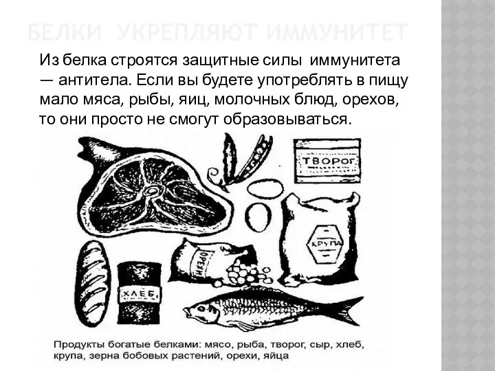 Белки укрепляют иммунитет Из белка строятся защитные силы иммунитета — антитела. Если вы