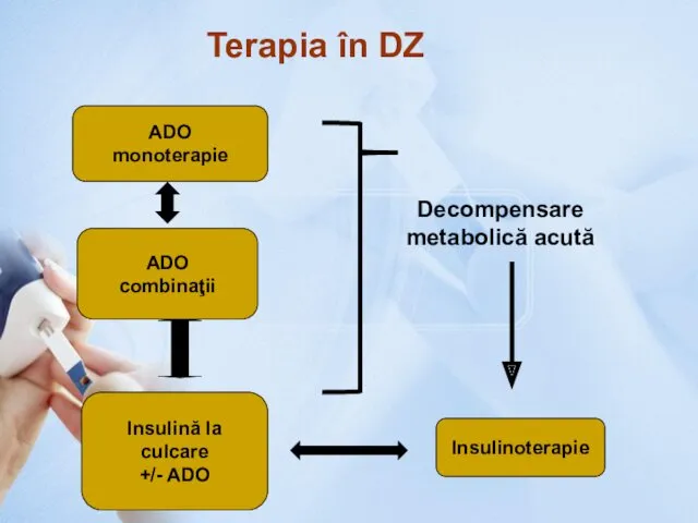 Terapia în DZ ADO monoterapie ADO combinaţii Insulină la culcare +/- ADO Insulinoterapie Decompensare metabolică acută
