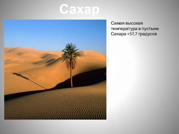 Сахара Самая высокая температура в пустыне Сахара +57,7 градусов