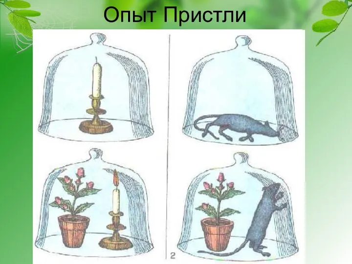 Опыт Пристли