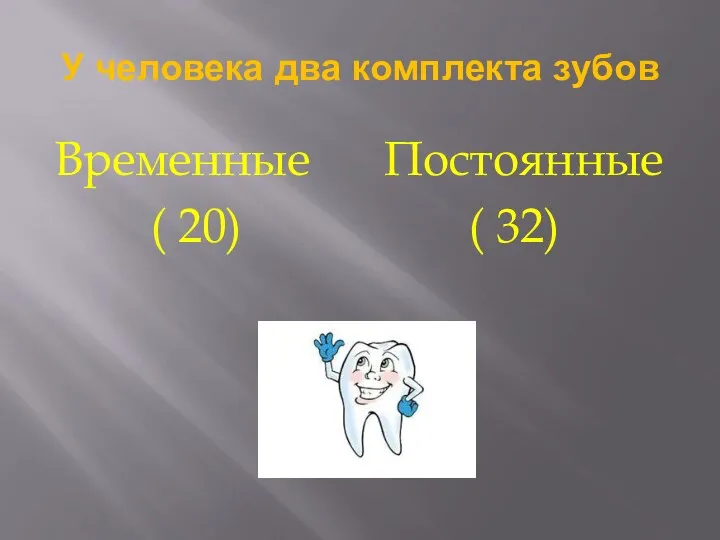 У человека два комплекта зубов Временные ( 20) Постоянные ( 32)