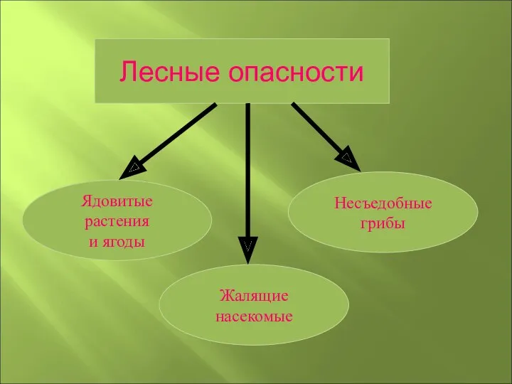 Лесные опасности Ядовитые растения и ягоды Жалящие насекомые Несъедобные грибы