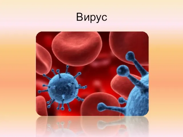 Вирус