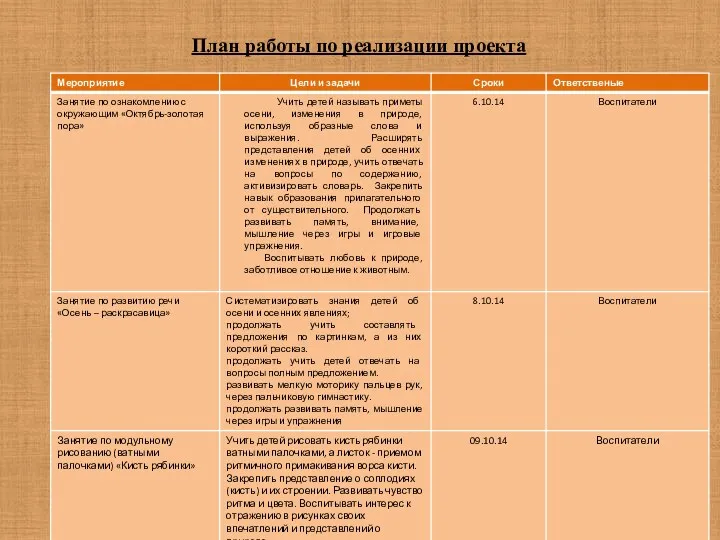 План работы по реализации проекта