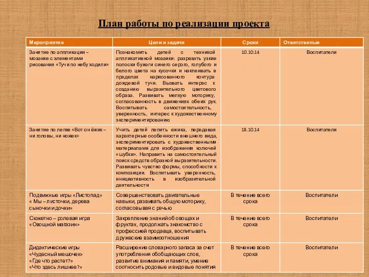 План работы по реализации проекта