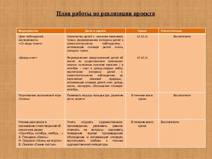 План работы по реализации проекта