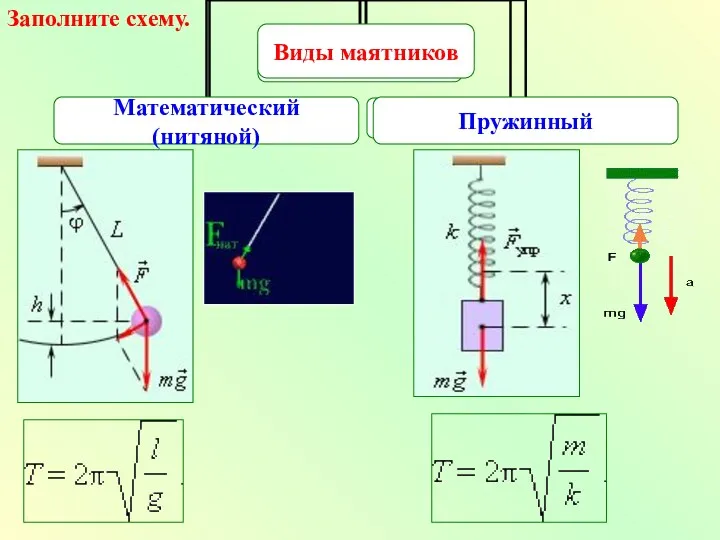 Заполните схему.