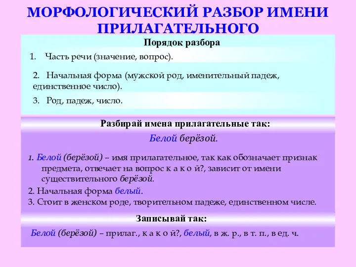 МОРФОЛОГИЧЕСКИЙ РАЗБОР ИМЕНИ ПРИЛАГАТЕЛЬНОГО 3. Род, падеж, число. Порядок разбора