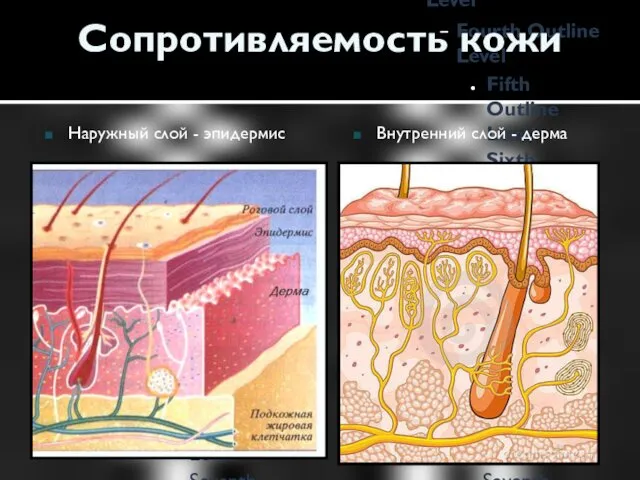 Сопротивляемость кожи Наружный слой - эпидермис Внутренний слой - дерма