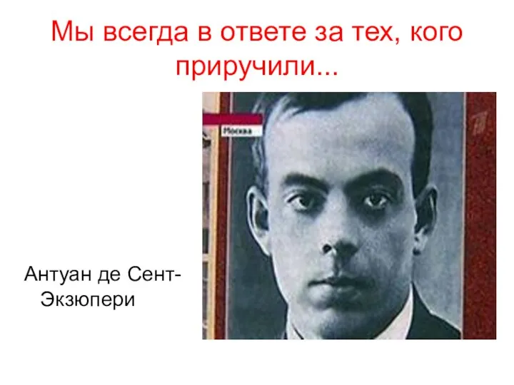 Мы всегда в ответе за тех, кого приручили... Антуан де Сент-Экзюпери