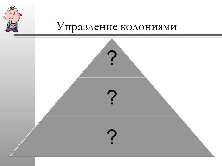 Управление колониями