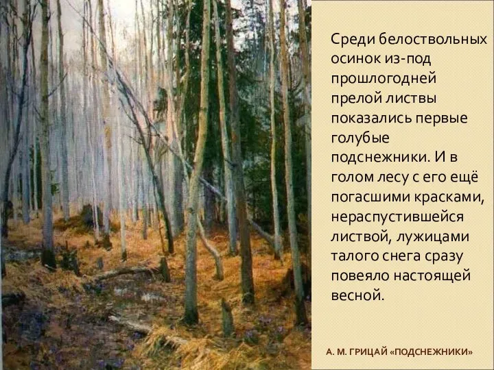 А. М. ГРИЦАЙ «ПОДСНЕЖНИКИ» Среди белоствольных осинок из-под прошлогодней прелой