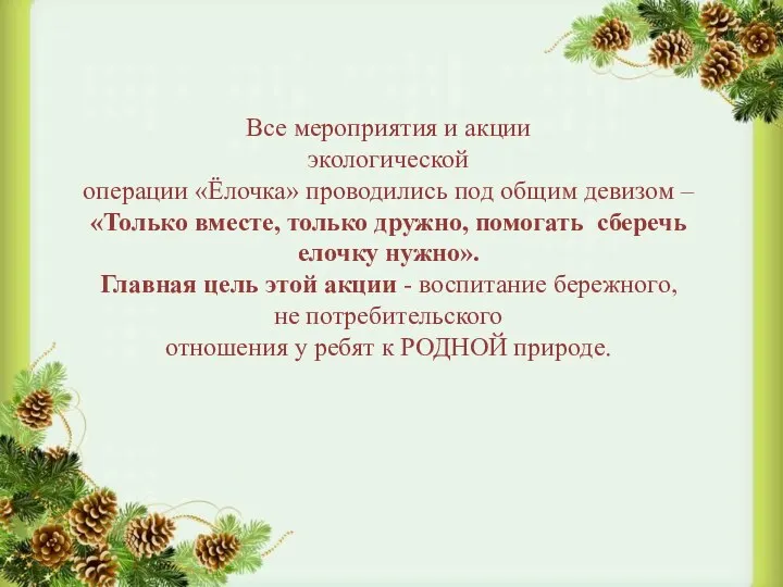 Все мероприятия и акции экологической операции «Ёлочка» проводились под общим