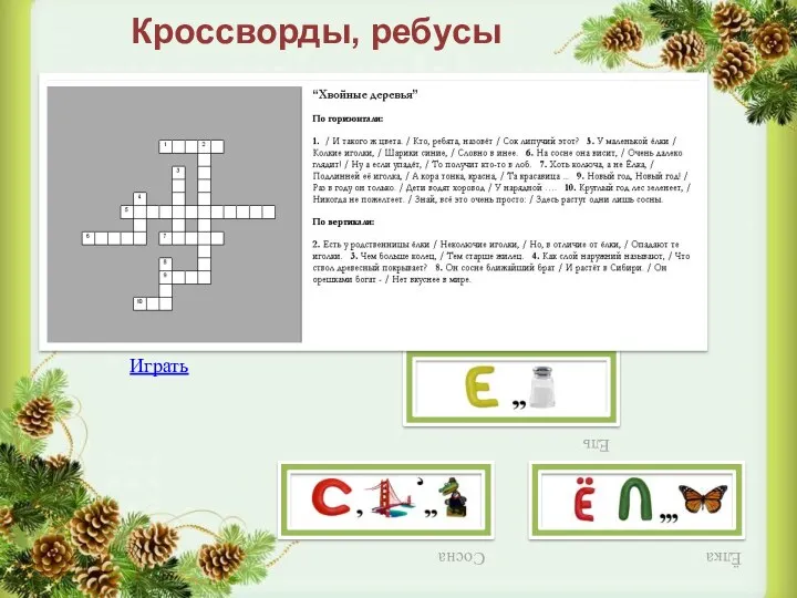 Кроссворды, ребусы Сосна Ёлка Ель Играть